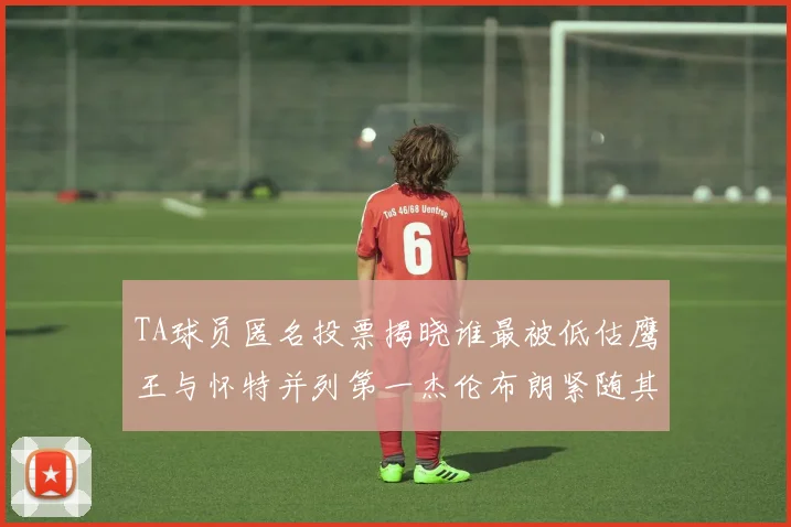 TA球员匿名投票揭晓谁最被低估鹰王与怀特并列第一杰伦布朗紧随其后