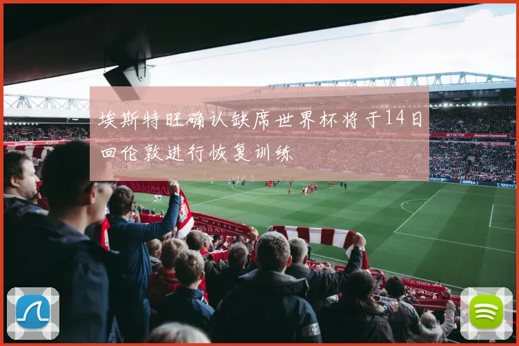 埃斯特旺确认缺席世界杯将于14日回伦敦进行恢复训练