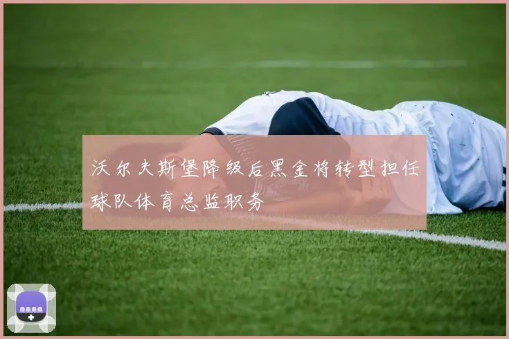 沃尔夫斯堡降级后黑金将转型担任球队体育总监职务